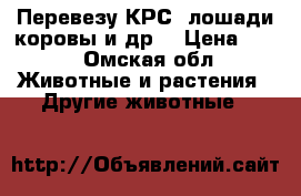 Перевезу КРС  лошади коровы и др  › Цена ­ 15 - Омская обл. Животные и растения » Другие животные   